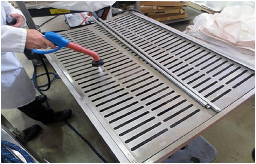 DIY vs Professional Steam Cleaner for Sanitizing: What Works Better?